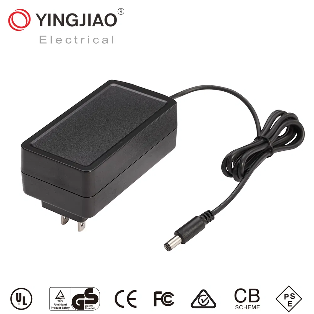 Factory Wholesale 24W/9V/12V/24V/1A/2A AC/DC EU/Us Plug