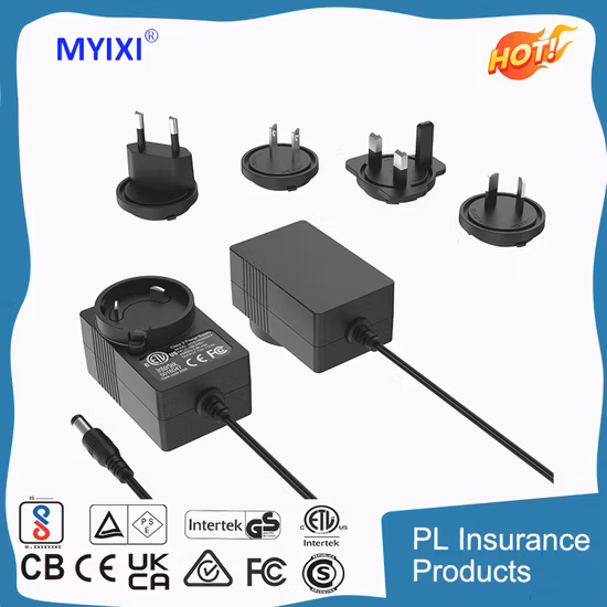 AC/ DC Power Adapter with Exchangeable AC Plugs